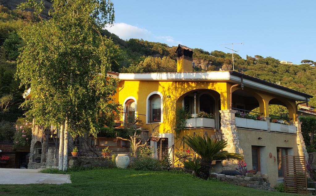 Il Nido Del Falco Castel Gandolfo Dış mekan fotoğraf