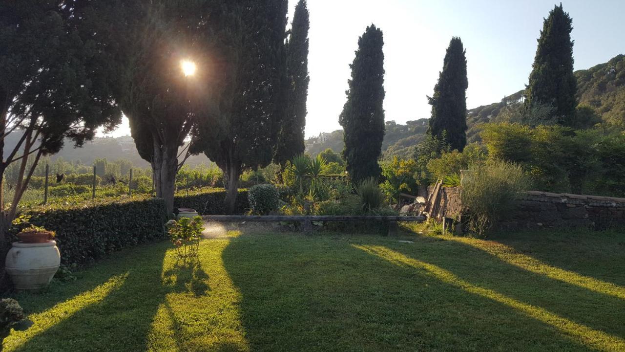 Il Nido Del Falco Castel Gandolfo Dış mekan fotoğraf